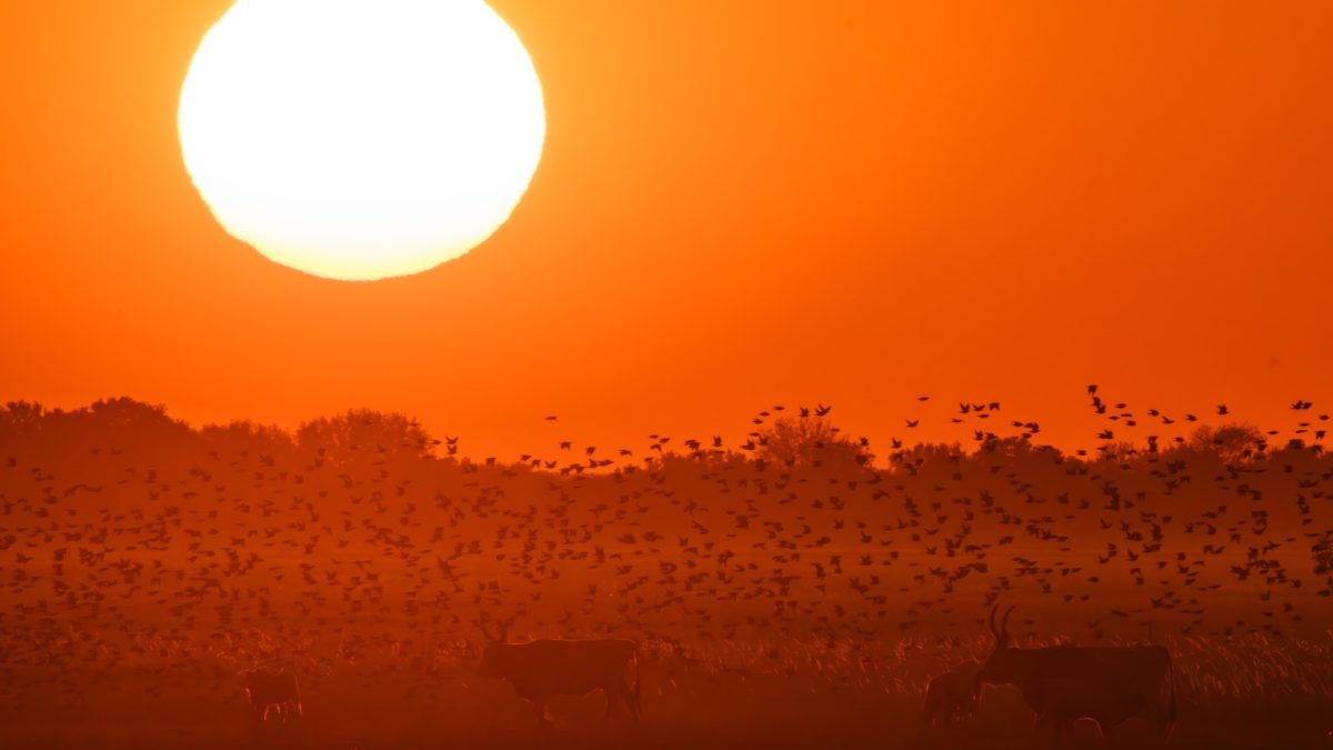 Alertă meteo: Ploi și vânt puternic în 3 județe mâine