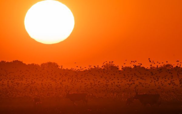 Alertă meteo: Ploi și vânt puternic în 3 județe mâine