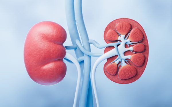 Urina, semnal de alarmă pentru rinichi. Ce spun medicii
