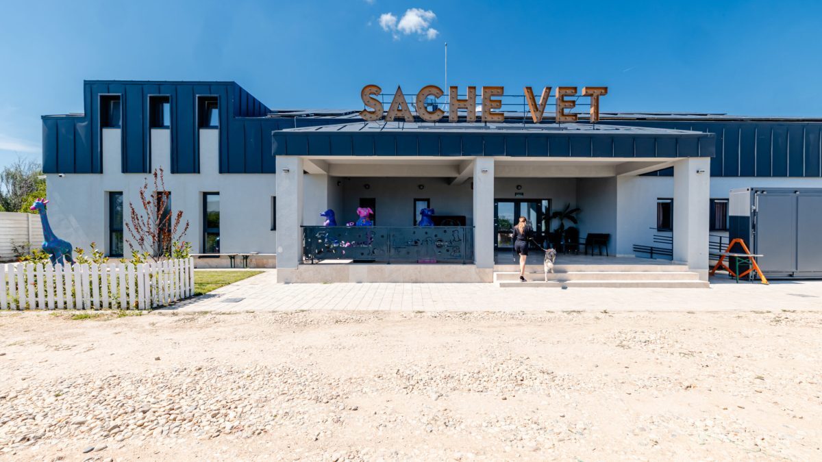 Spital veterinar social, la o oră de București: peste 5.000 animale