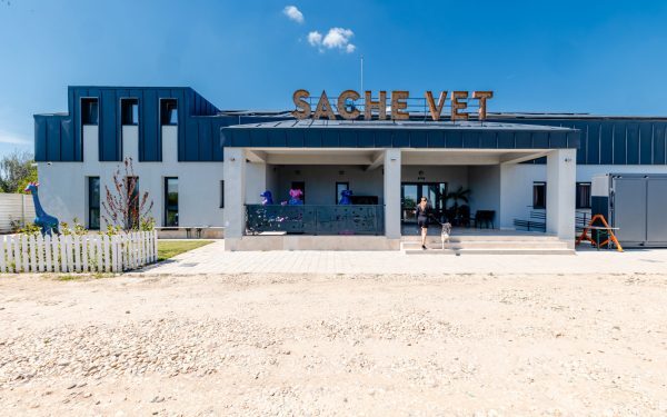Spital veterinar social, la o oră de București: peste 5.000 animale