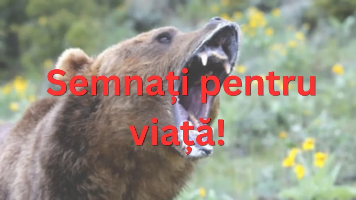 URȘII, O AMENINȚARE DIN CE ÎN CE MAI MARE