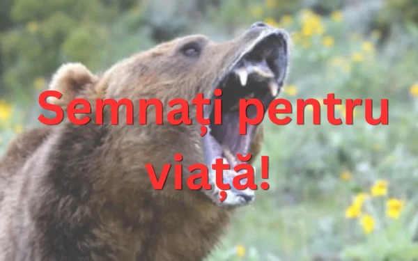 URȘII, O AMENINȚARE DIN CE ÎN CE MAI MARE