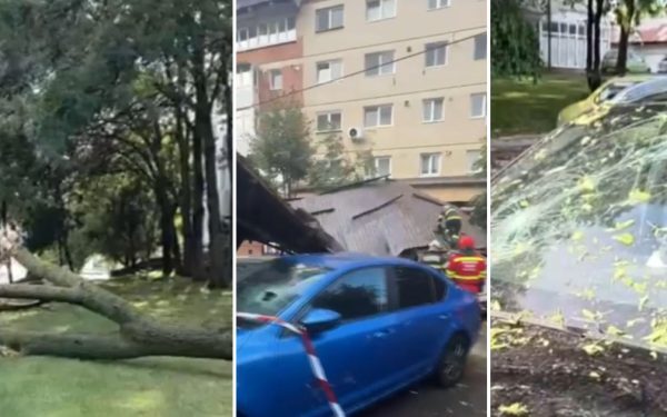 Vânt de coșmar: copaci doborâți, acoperiș peste mașini