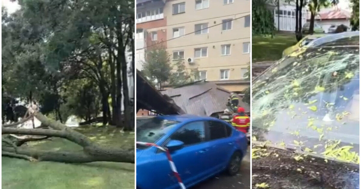 Vânt de coșmar: copaci doborâți, acoperiș peste mașini