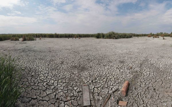 Seceta persistă: Ploile de vară, ineficiente. Climatologul explică