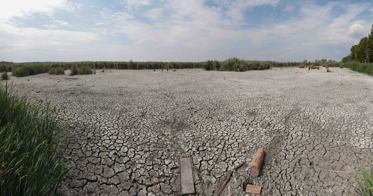 Seceta persistă: Ploile de vară, ineficiente. Climatologul explică