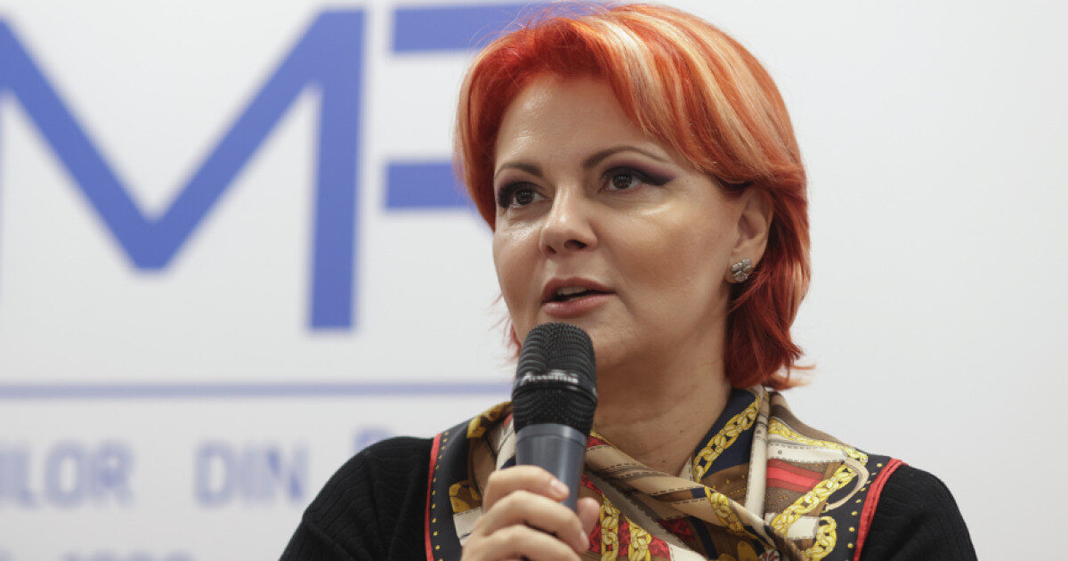 Olguța Vasilescu: Sporul pentru fonduri europene, 20% sau 40%