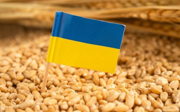 Ucraina, SOS către UE: 220 milioane € pentru fermierii loviți de război