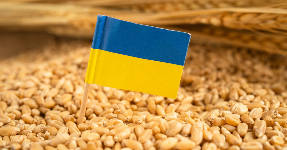 Ucraina, SOS către UE: 220 milioane € pentru fermierii loviți de război
