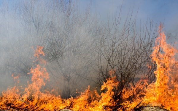 Incendii în Caraș-Severin: zeci de pompieri și elicoptere la luptă