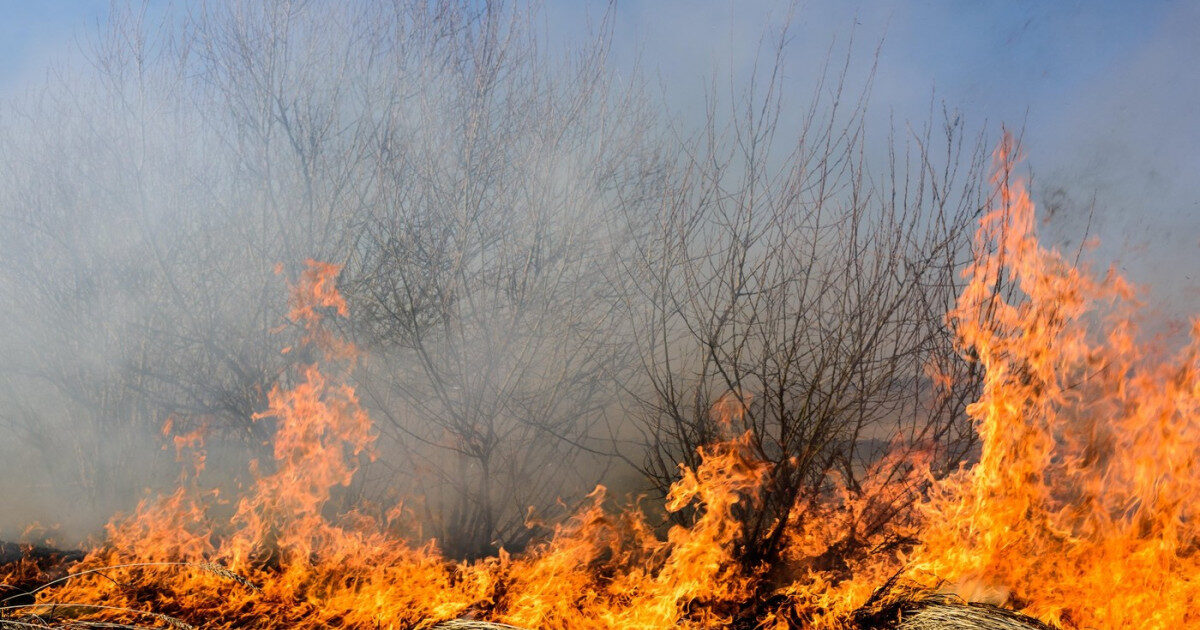 Incendii în Caraș-Severin: zeci de pompieri și elicoptere la luptă