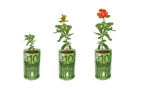 Fonduri UE: 100.000€ pentru flori și plante medicinale. Ghid AFIR