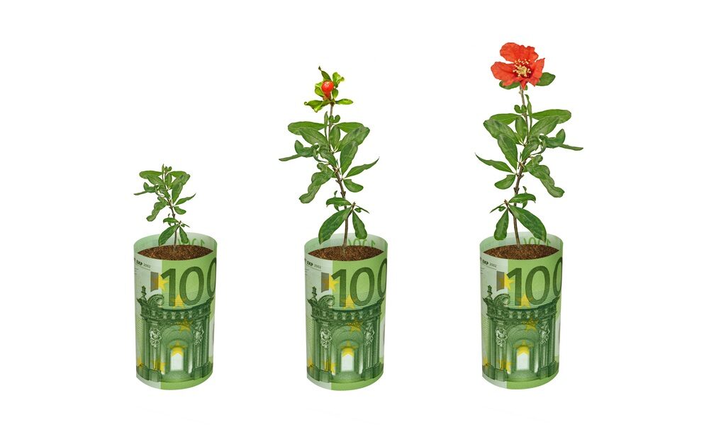 Fonduri UE: 100.000€ pentru flori și plante medicinale. Ghid AFIR