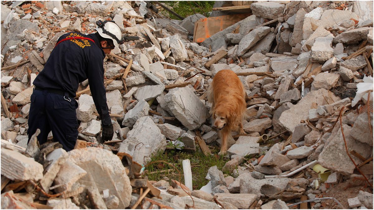 Cutremur devastator în Columbia: Peste 20 de morți, seismul s-a simțit și-n vecini
