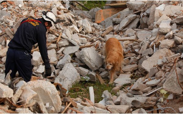 Cutremur devastator în Columbia: Peste 20 de morți, seismul s-a simțit și-n vecini