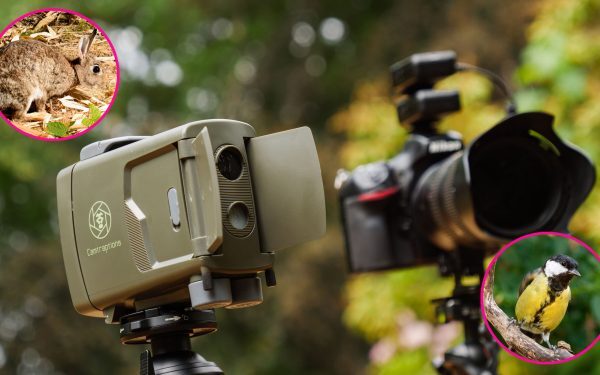 Fotograf UIMIT: DSLR-ul singur în grădină, capcană foto pentru animale sălbatice
