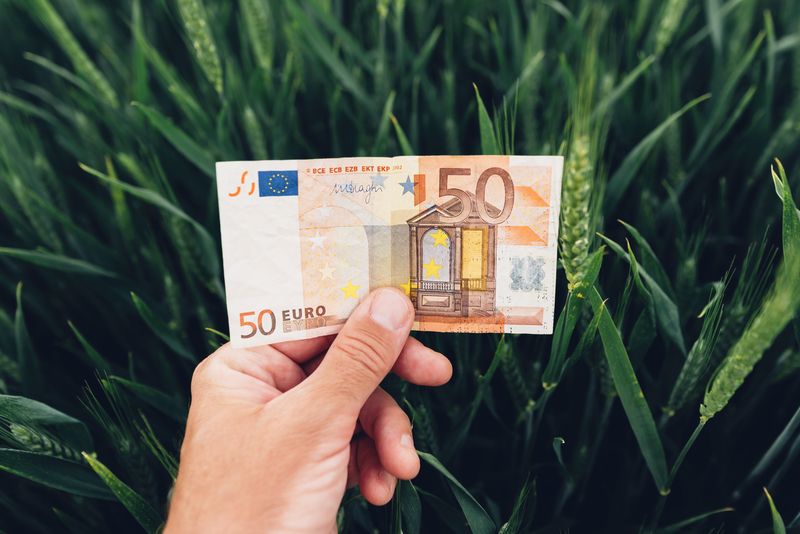 Fonduri U.E. 50.000€ ferme mici: Ghid AFIR și punctaj