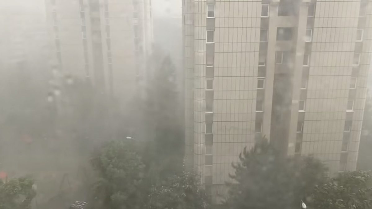 Furtună devastatoare în Brașov: Copaci doborâți, garaje inundate