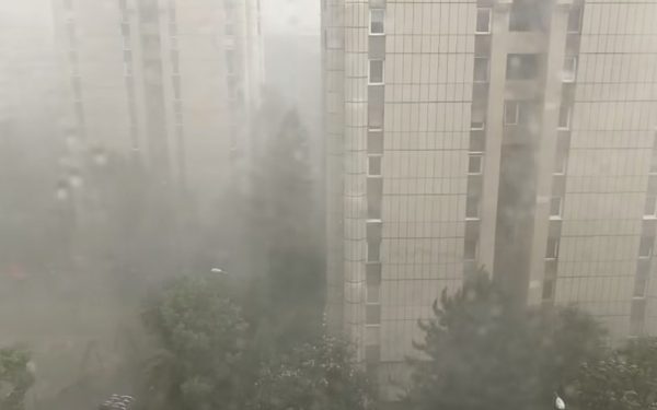 Furtună devastatoare în Brașov: Copaci doborâți, garaje inundate