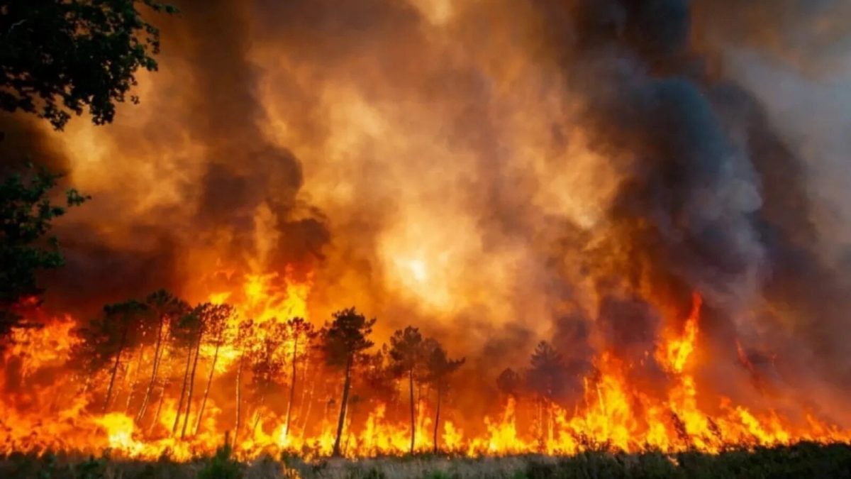 Foc la Atena: 170 de pompieri luptă cu flăcările mistuitoare