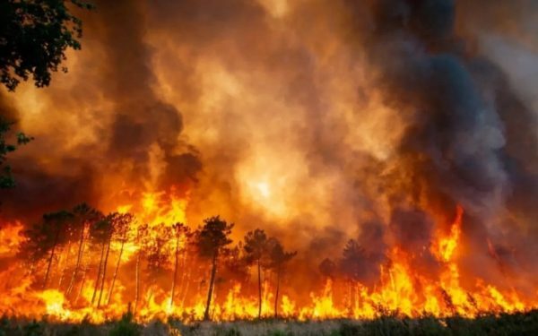 Foc la Atena: 170 de pompieri luptă cu flăcările mistuitoare