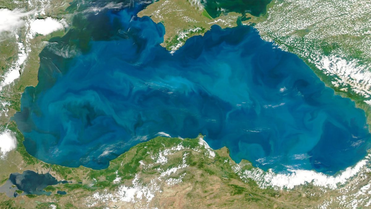 Războiul de la Marea Neagră amenință prețul cerealelor