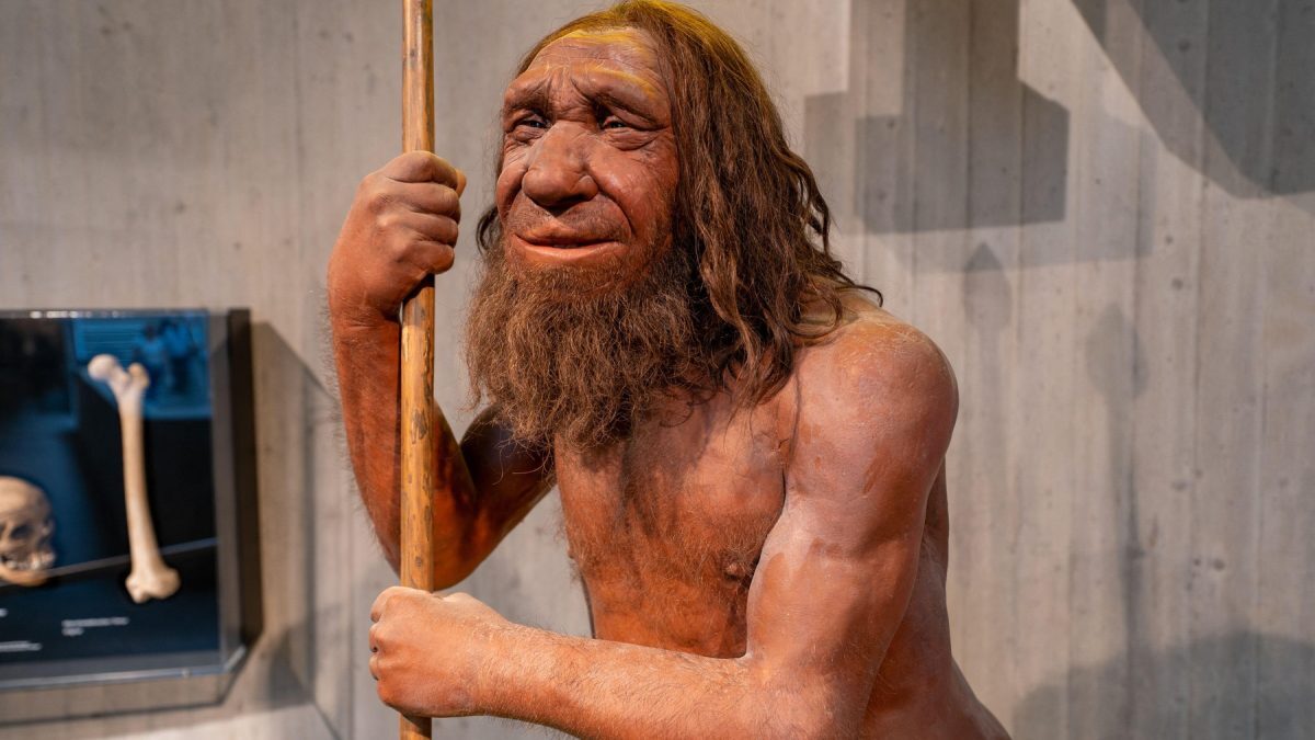 Neanderthalienii, gena-superputere pentru mușchi, la doar unii oameni