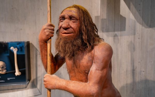 Neanderthalienii, gena-superputere pentru mușchi, la doar unii oameni