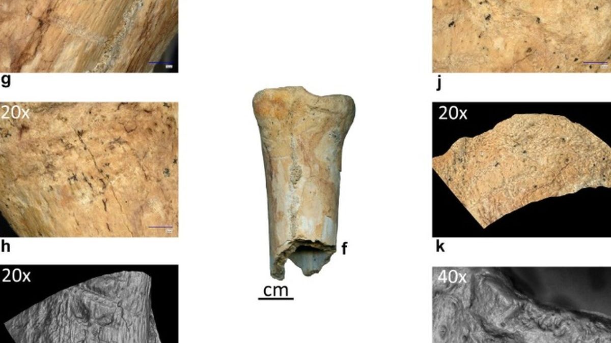 Neandertalienii din România, surprinși cu unelte din os