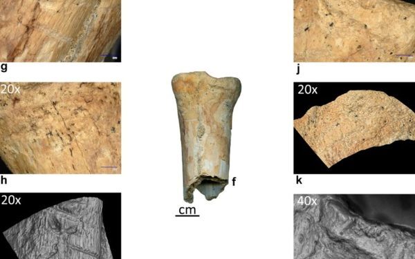 Neandertalienii din România, surprinși cu unelte din os