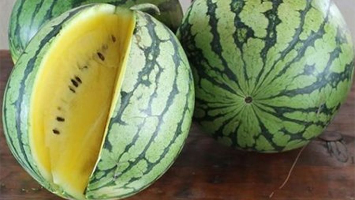 Pepene galben: E bun de consum? Secretul culorii lui