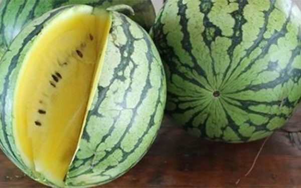 Pepene galben: E bun de consum? Secretul culorii lui