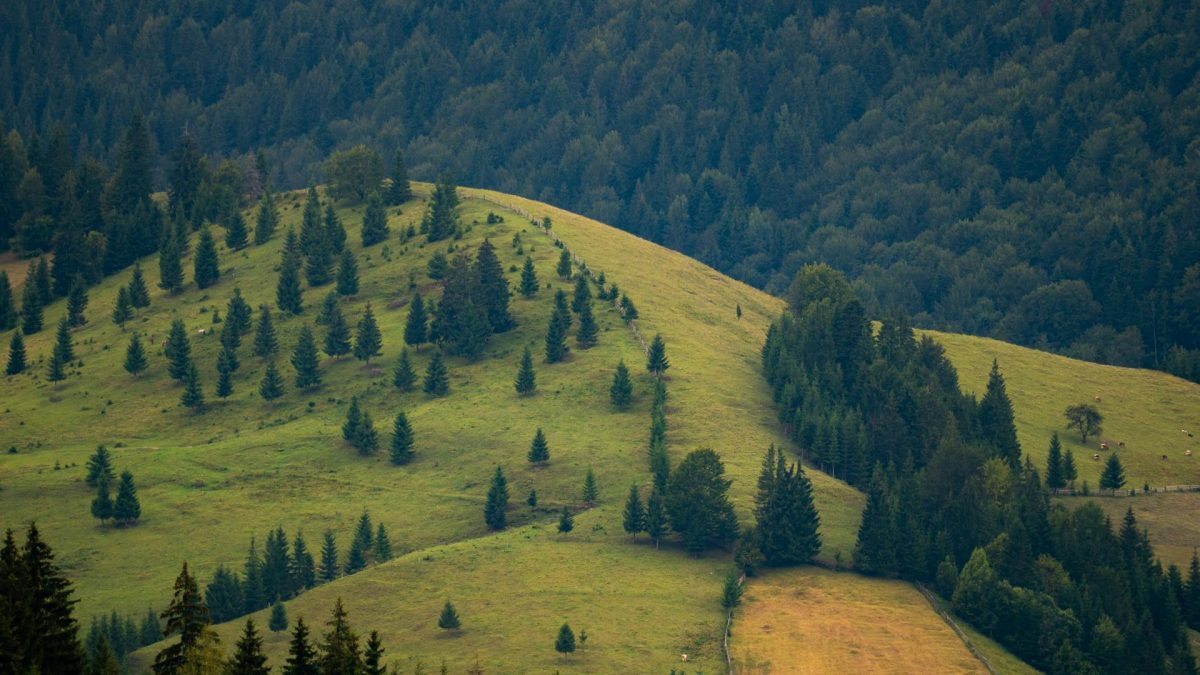Bani pentru biodiversitate vs. realitatea cruntă din România