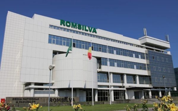 Romsilva, loc doi la contracte pe bandă rulantă în 2025