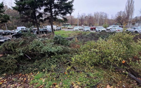 Buzoianu, șoc: 5.000 de arbori tăiați ilegal în Brașov