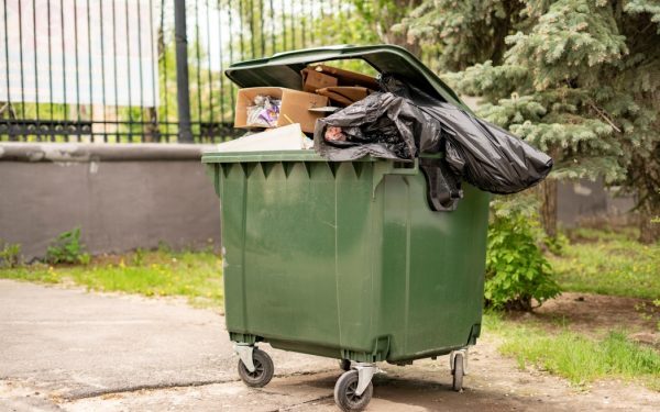 Muște la tomberon: Trucuri simple pentru zilele caniculare