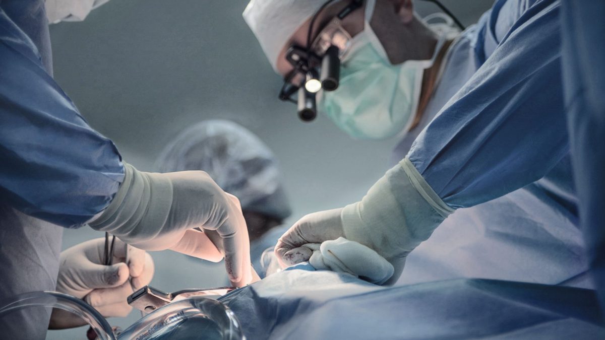 Transplant cu rinichi de porc: Un om a trăit 9 luni cu el