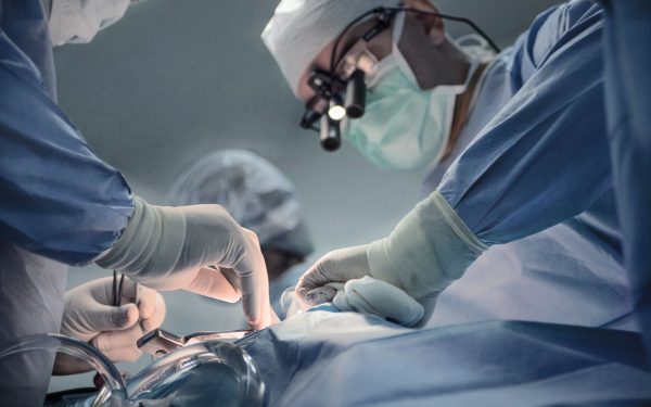 Transplant cu rinichi de porc: Un om a trăit 9 luni cu el