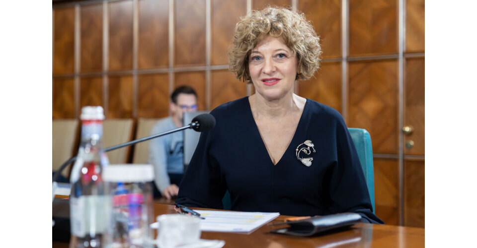 Oana Gheorghiu: Proiectul AUR despre drapel, o idee aberantă