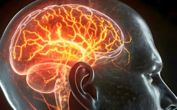 Creierul după 50 de ani: Schimbare biologică majoră, revelată