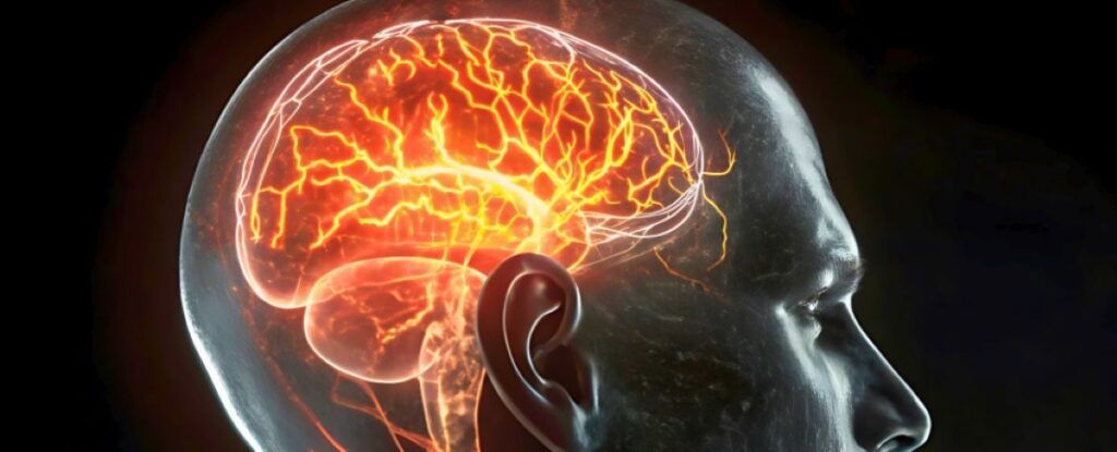 Creierul după 50 de ani: Schimbare biologică majoră, revelată