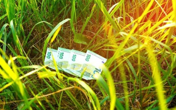 1 hectar, profit de 60.000 de euro