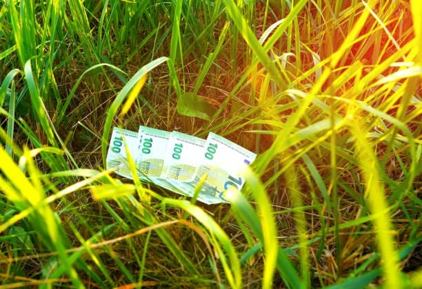 1 hectar, profit de 60.000 de euro