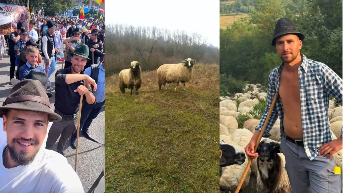 Cioban își vinde armăsarul de 3000 euro pentru fratele reținut