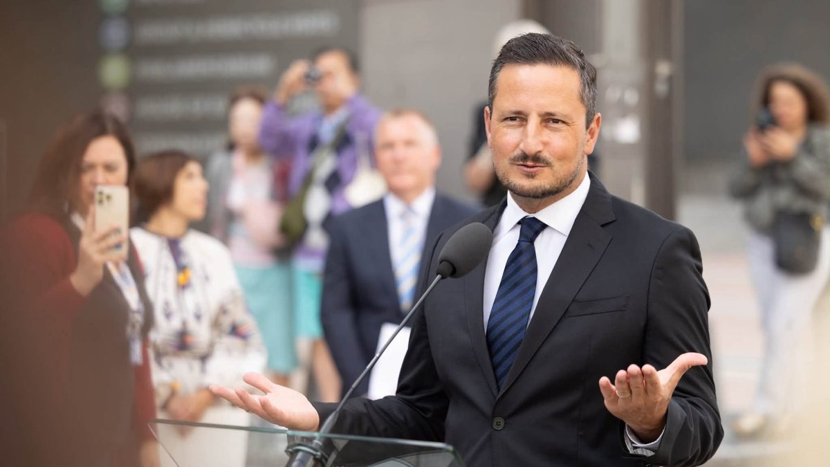 ȘTEFĂNUȚĂ, COPPREȘEDINTE VERZI EUROPARLAMENT