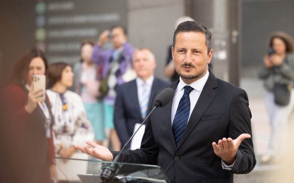 ȘTEFĂNUȚĂ, COPPREȘEDINTE VERZI EUROPARLAMENT