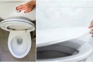 Oțet în toaletă săptămânal: trucul viral dezvăluit