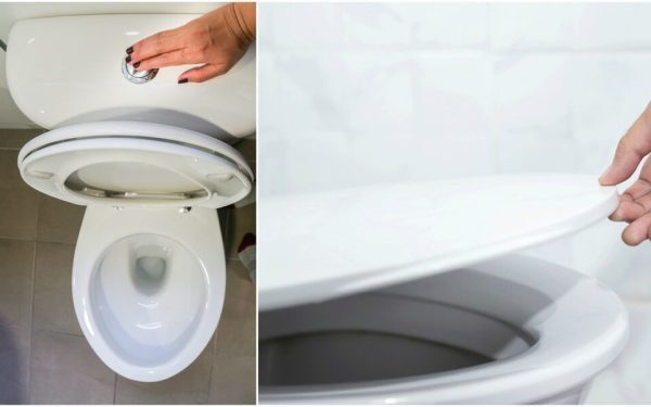 Oțet în toaletă săptămânal: trucul viral dezvăluit